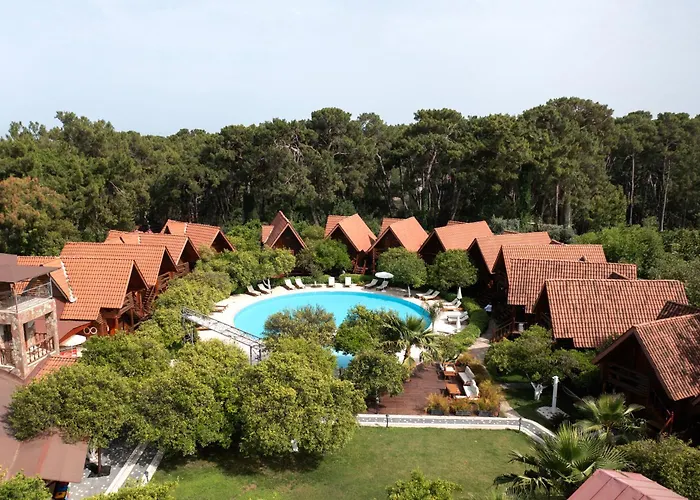 Woodline Hotel 3*