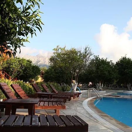 Woodline Hotel 3*