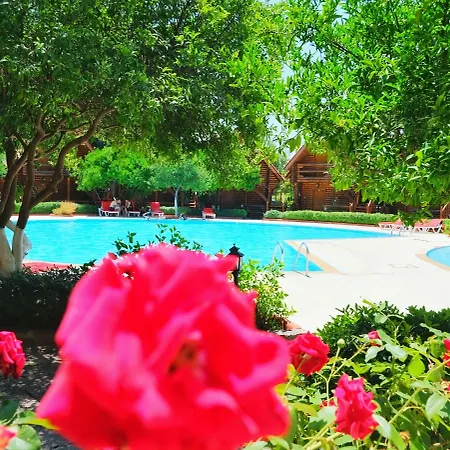 Hotel Woodline 3*