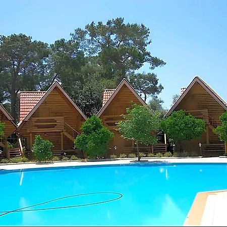 Woodline 3*