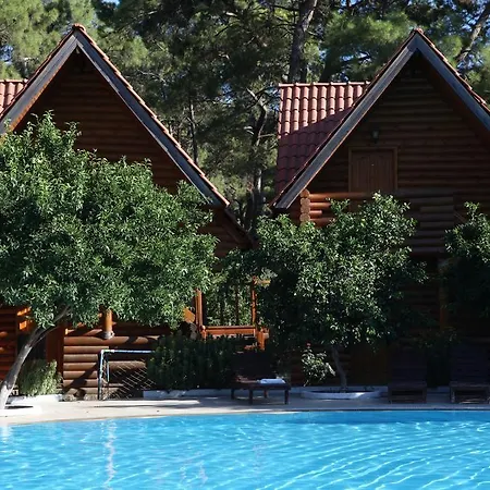 Woodline 3*