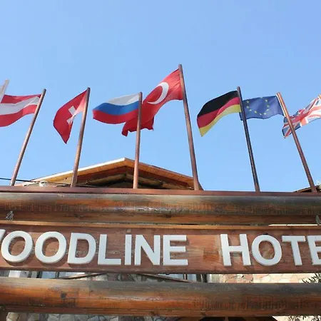 Woodline Hotel 3*